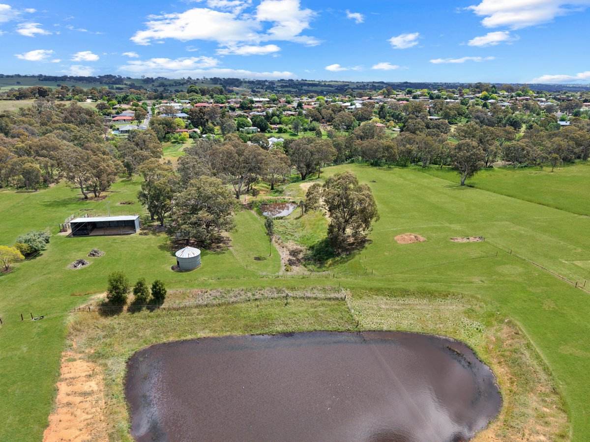 158A + 176 Willawong Street, Young For Sale by Farmbuy.com - image 5