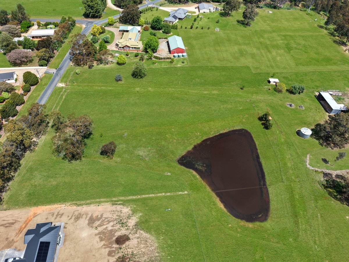 158A + 176 Willawong Street, Young For Sale by Farmbuy.com - image 8