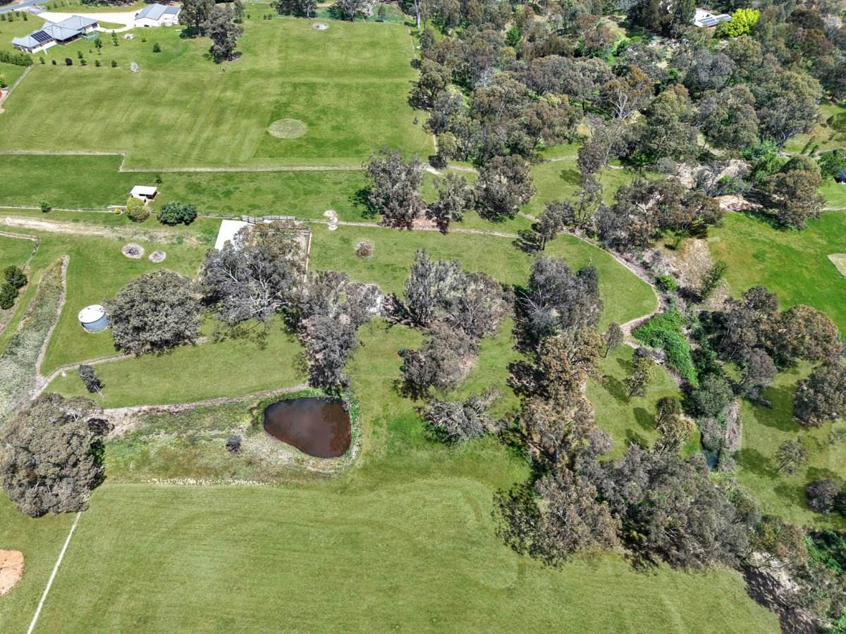 158A + 176 Willawong Street, Young For Sale by Farmbuy.com - image 11