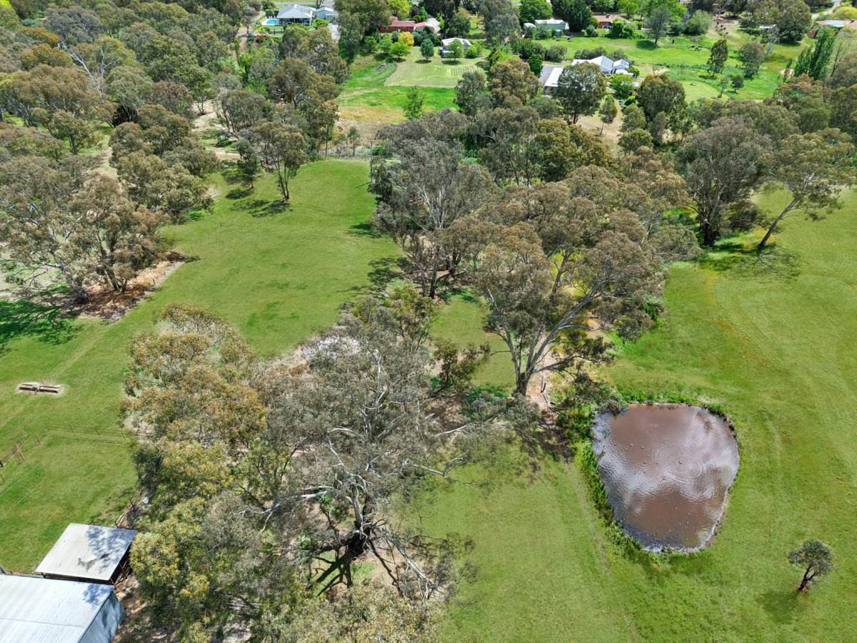 158A + 176 Willawong Street, Young For Sale by Farmbuy.com - image 20