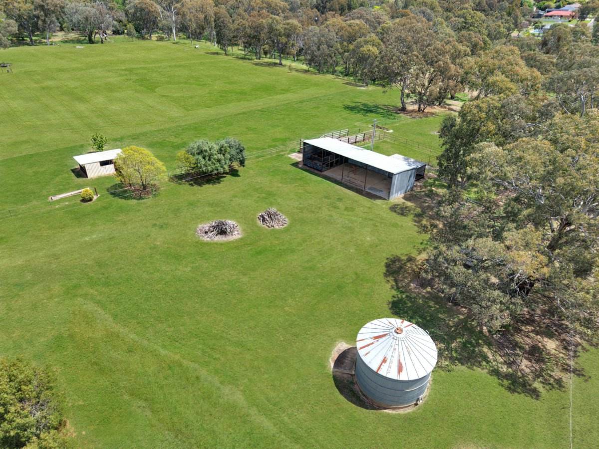 158A + 176 Willawong Street, Young For Sale by Farmbuy.com - image 19