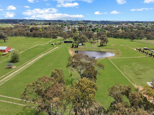 Farm For Sale - NSW - Young - 2594 - 4 Titles of Resdiential Zoned Property 