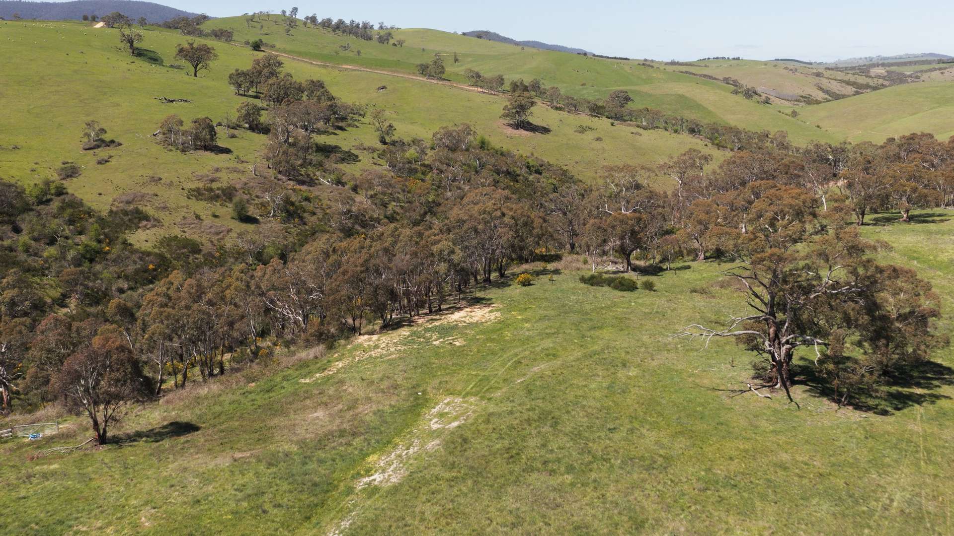 93 Bilton Street, Omeo For Sale by Farmbuy.com - image 26