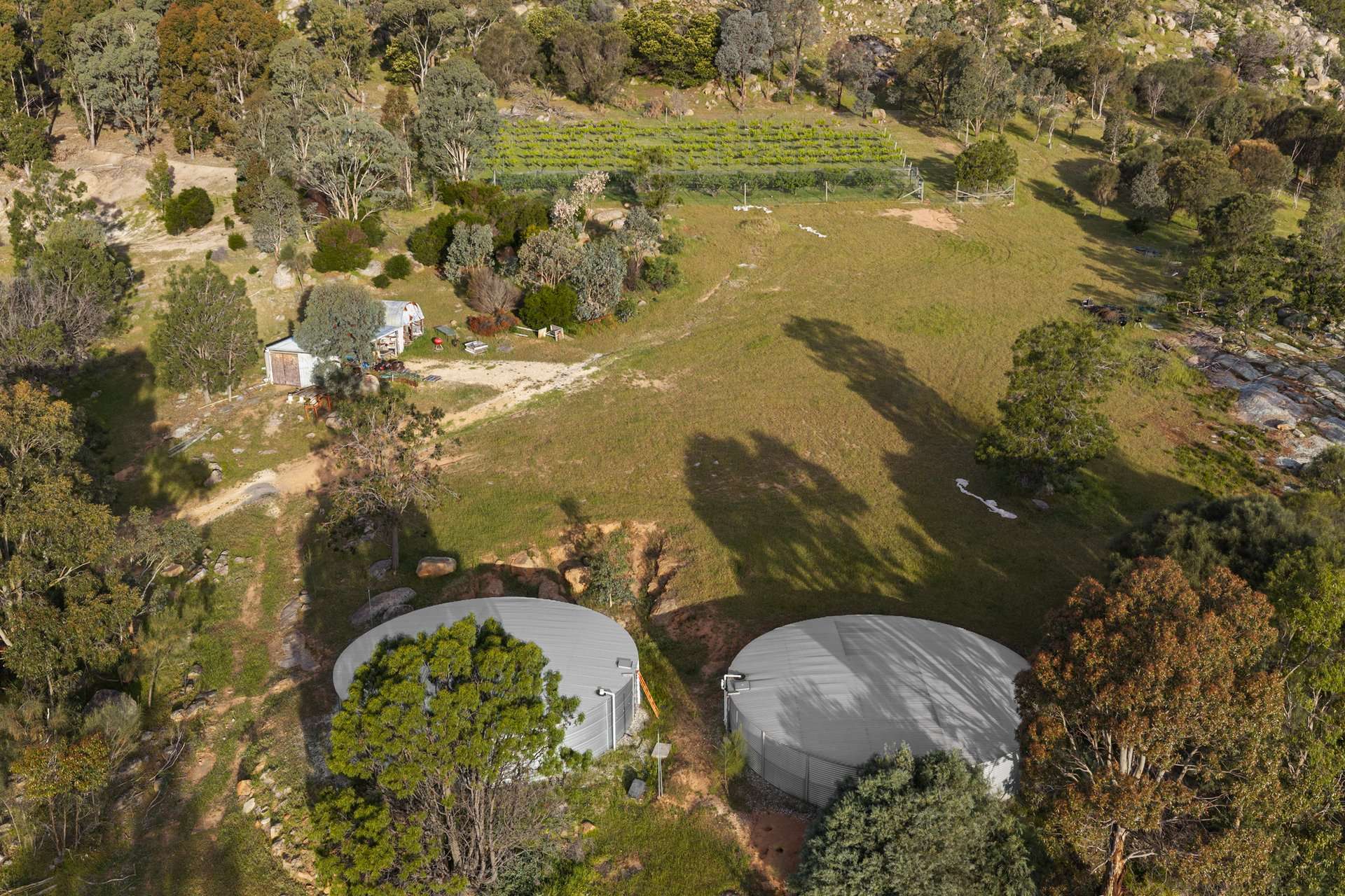 100 Mt Bernard Lane, Avenel For Sale by Farmbuy.com - image 27