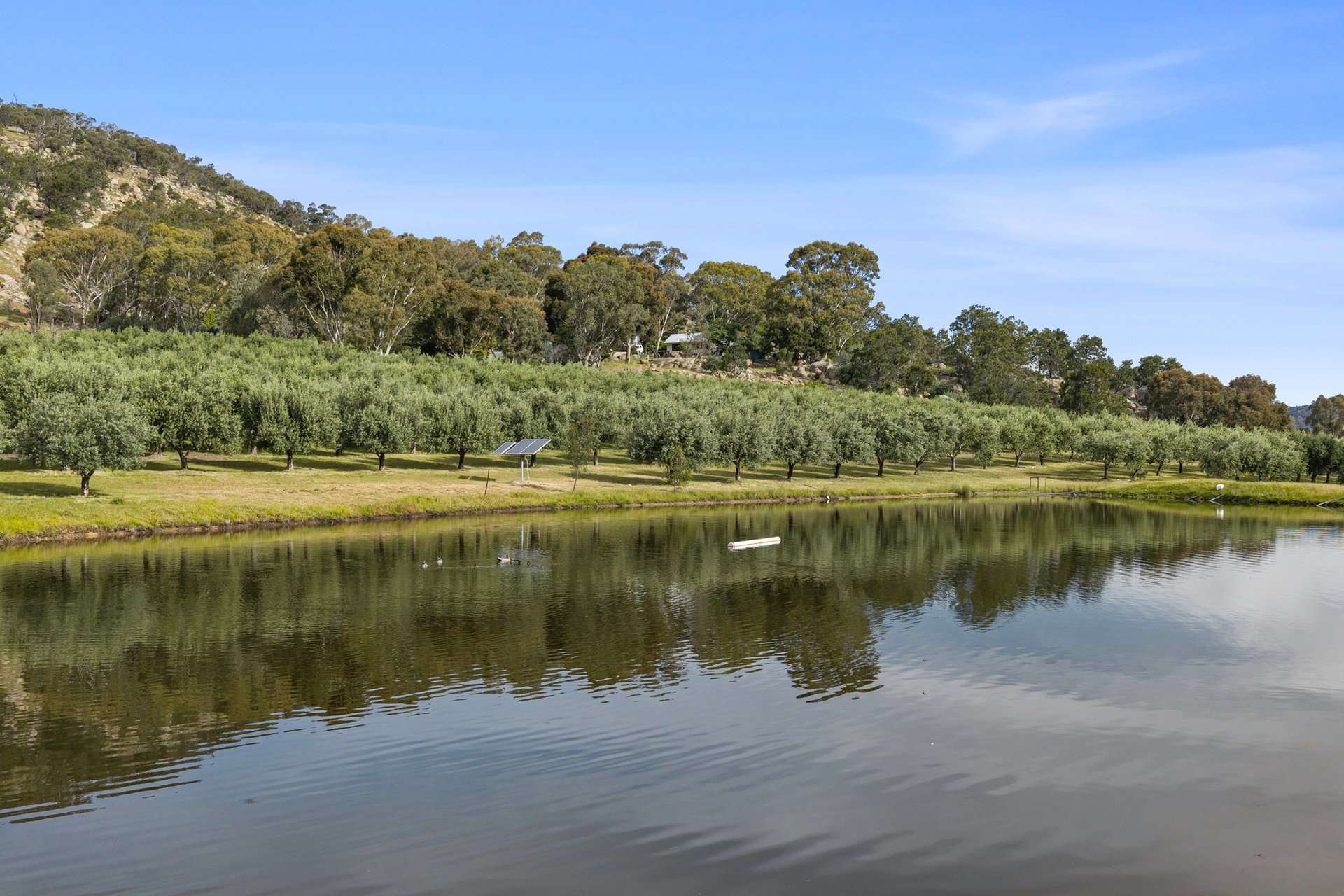 100 Mt Bernard Lane, Avenel For Sale by Farmbuy.com - image 29