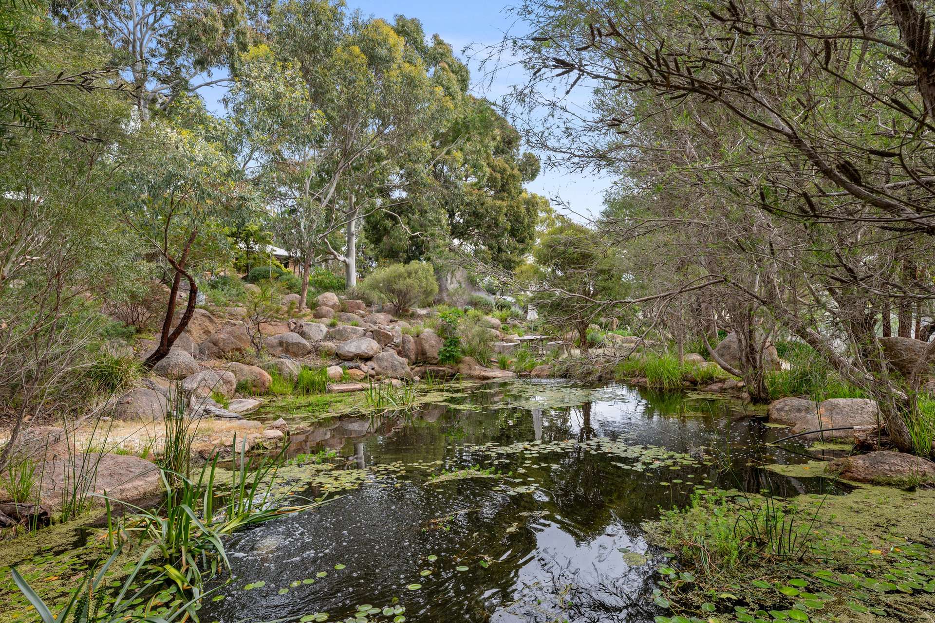 100 Mt Bernard Lane, Avenel For Sale by Farmbuy.com - image 31