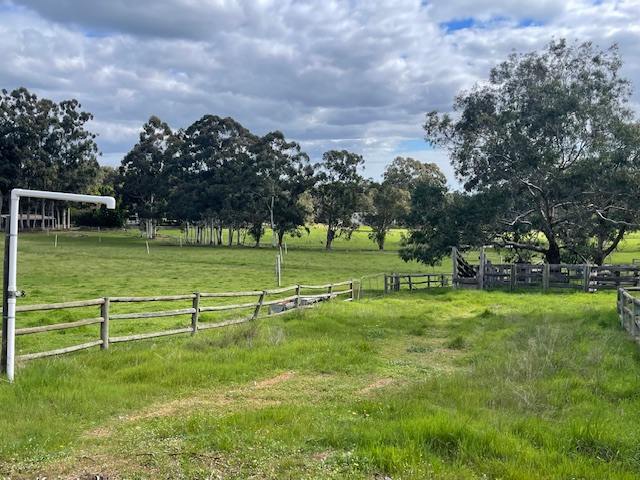 168 Scarp Road, Keysbrook For Sale by Farmbuy.com - image 20