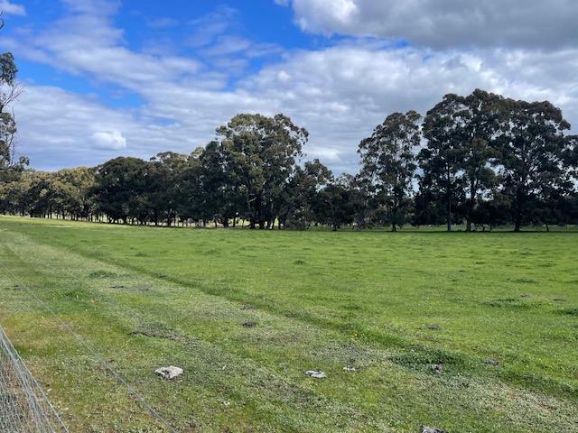168 Scarp Road, Keysbrook For Sale by Farmbuy.com - image 23