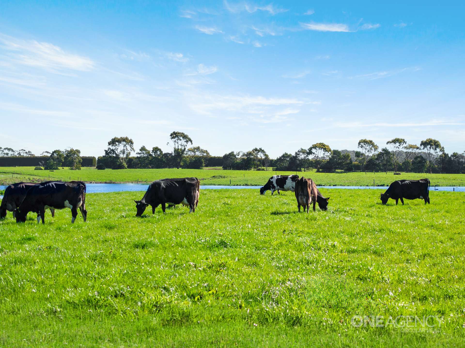 51 Kennys Road, Mengha For Sale by Farmbuy.com - image 21