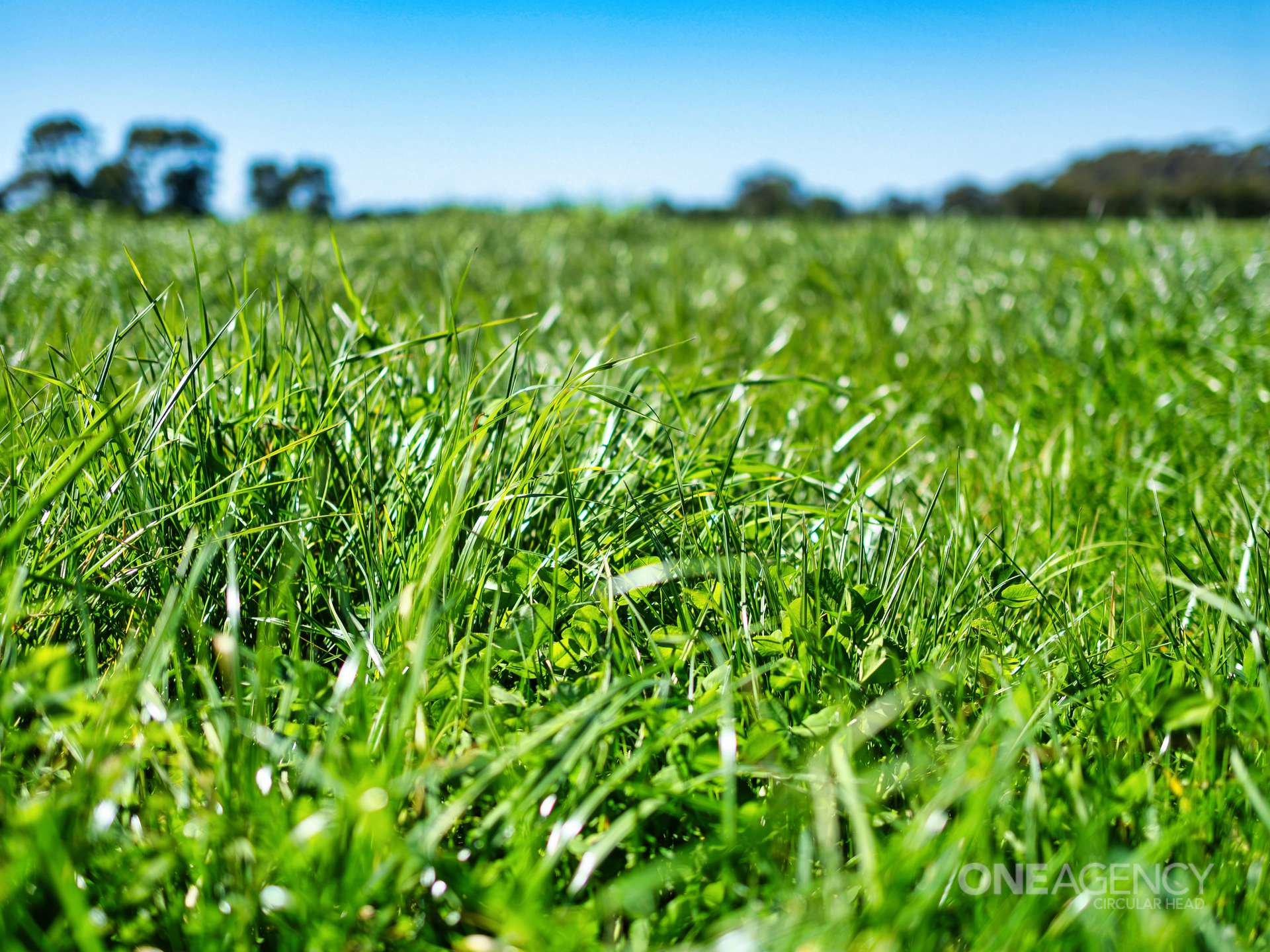51 Kennys Road, Mengha For Sale by Farmbuy.com - image 13