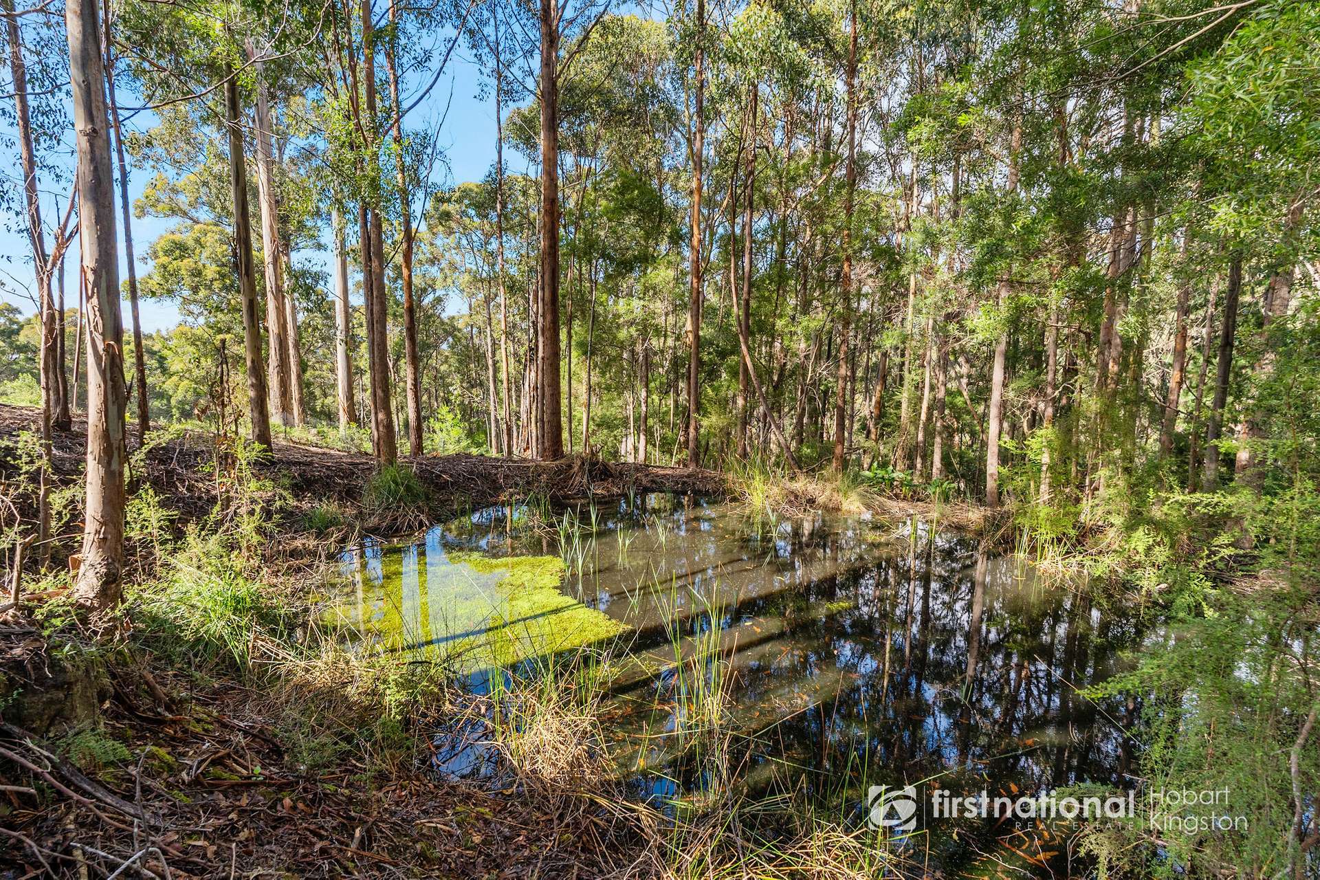 249 Groombridges Road, Kettering For Sale by Farmbuy.com - image 16