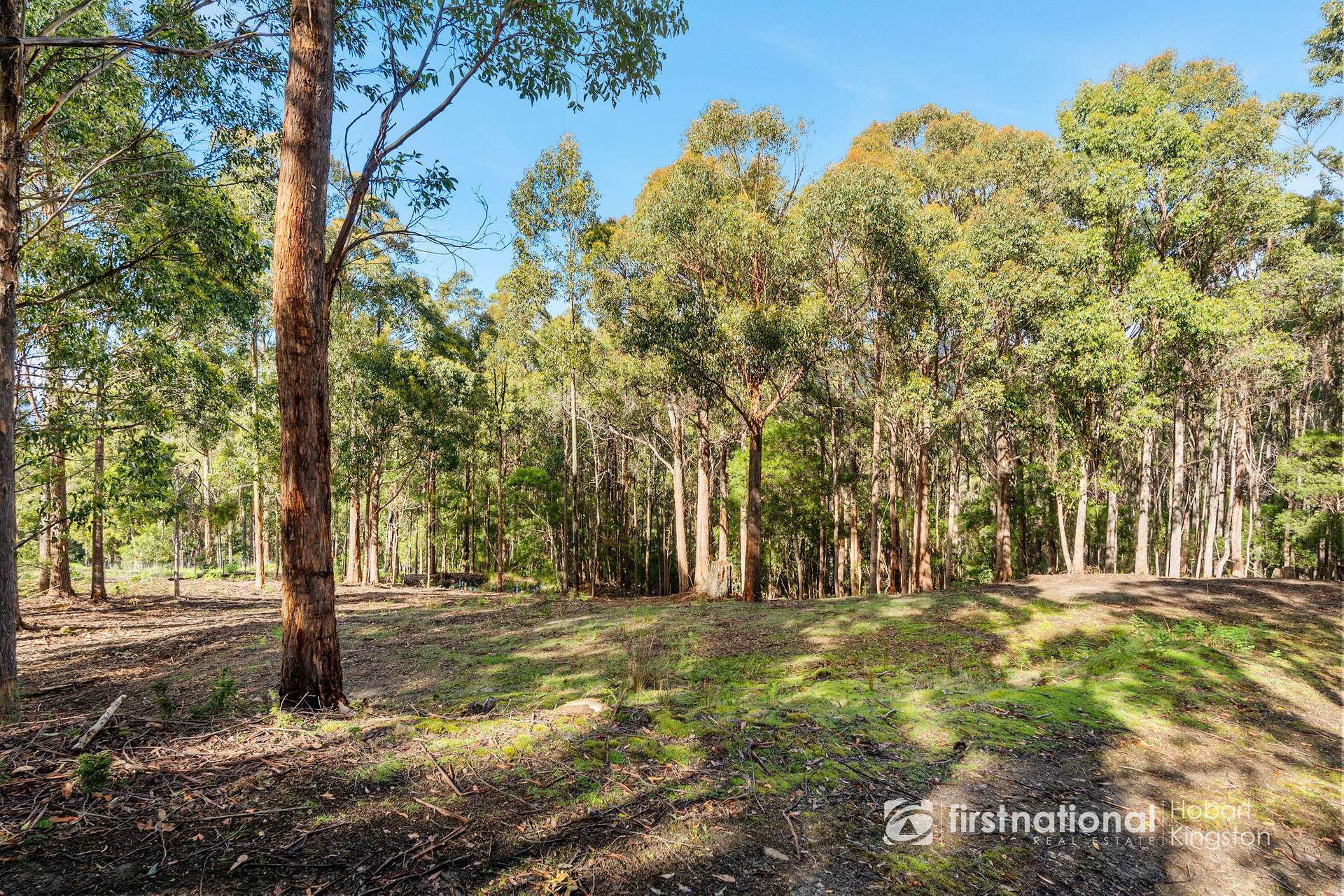 249 Groombridges Road, Kettering For Sale by Farmbuy.com - image 8