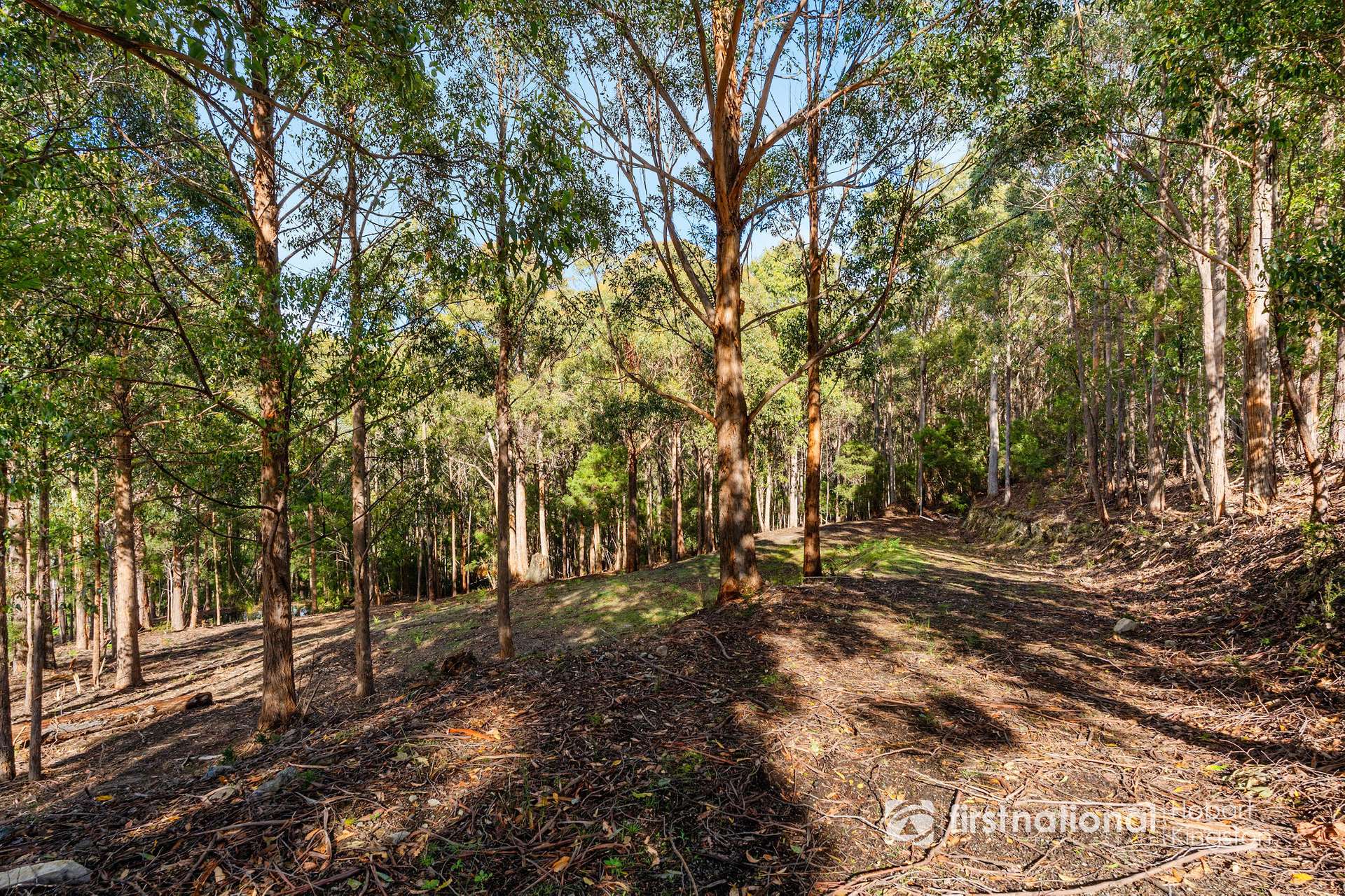249 Groombridges Road, Kettering For Sale by Farmbuy.com - image 7