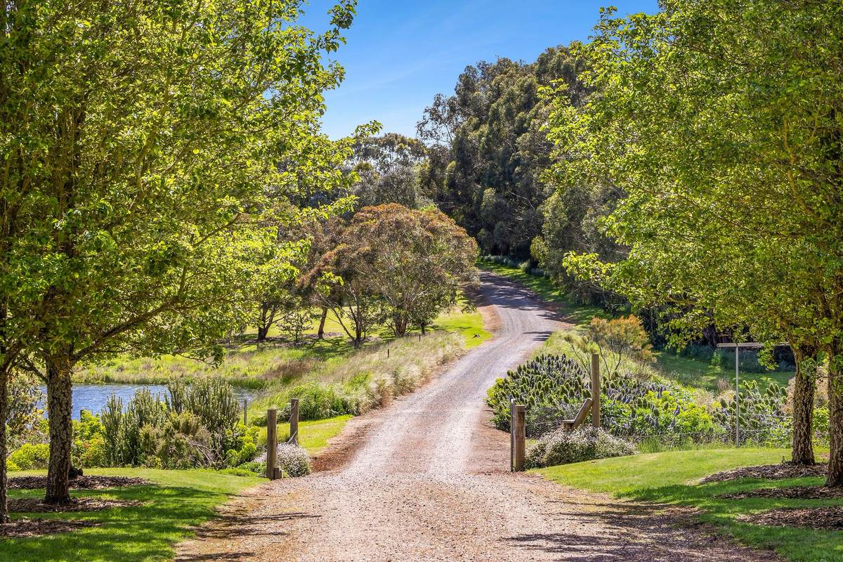 264 Wiggins Road, Scotsburn For Sale by Farmbuy.com - image 19