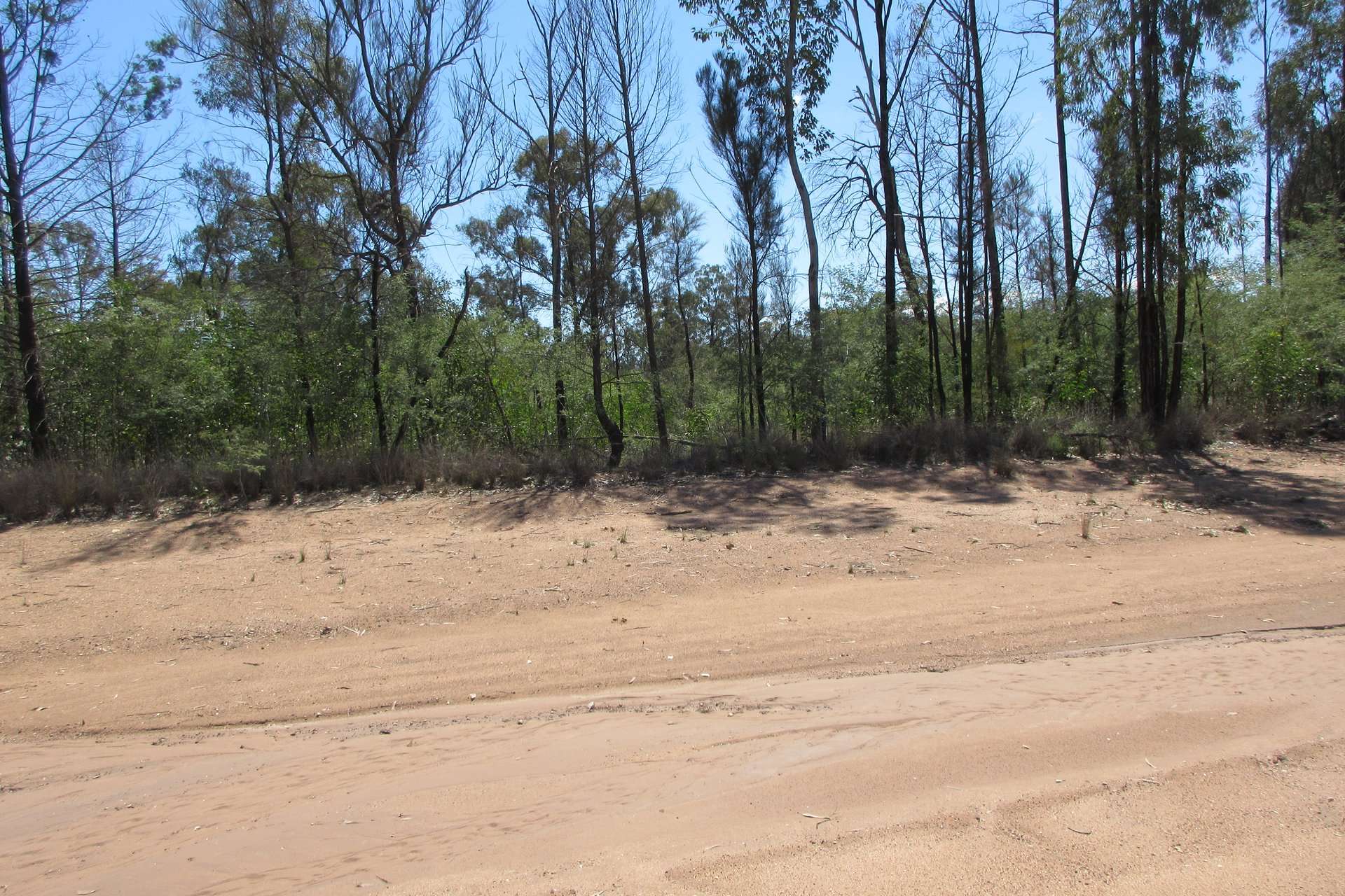 Lot 77 Orchard Road, Tara For Sale by Farmbuy.com - image 2