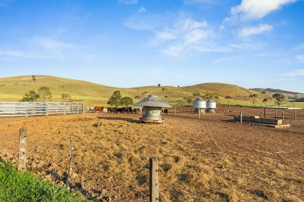 1415 Bridgman Road, Bridgman NSW 2330