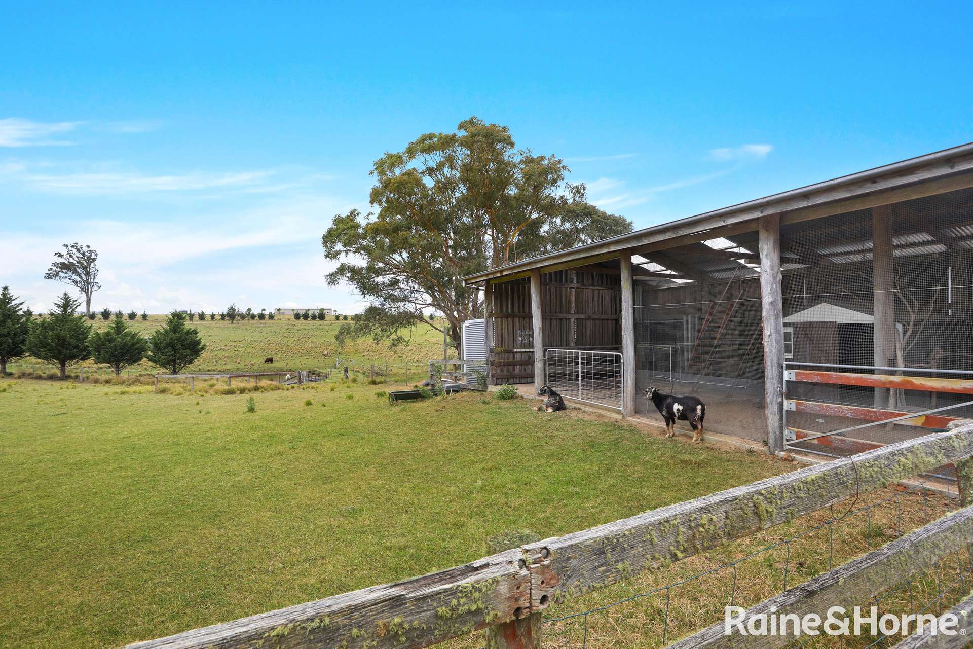 1469 Caoura Road, Tallong For Sale by Farmbuy.com - image 21