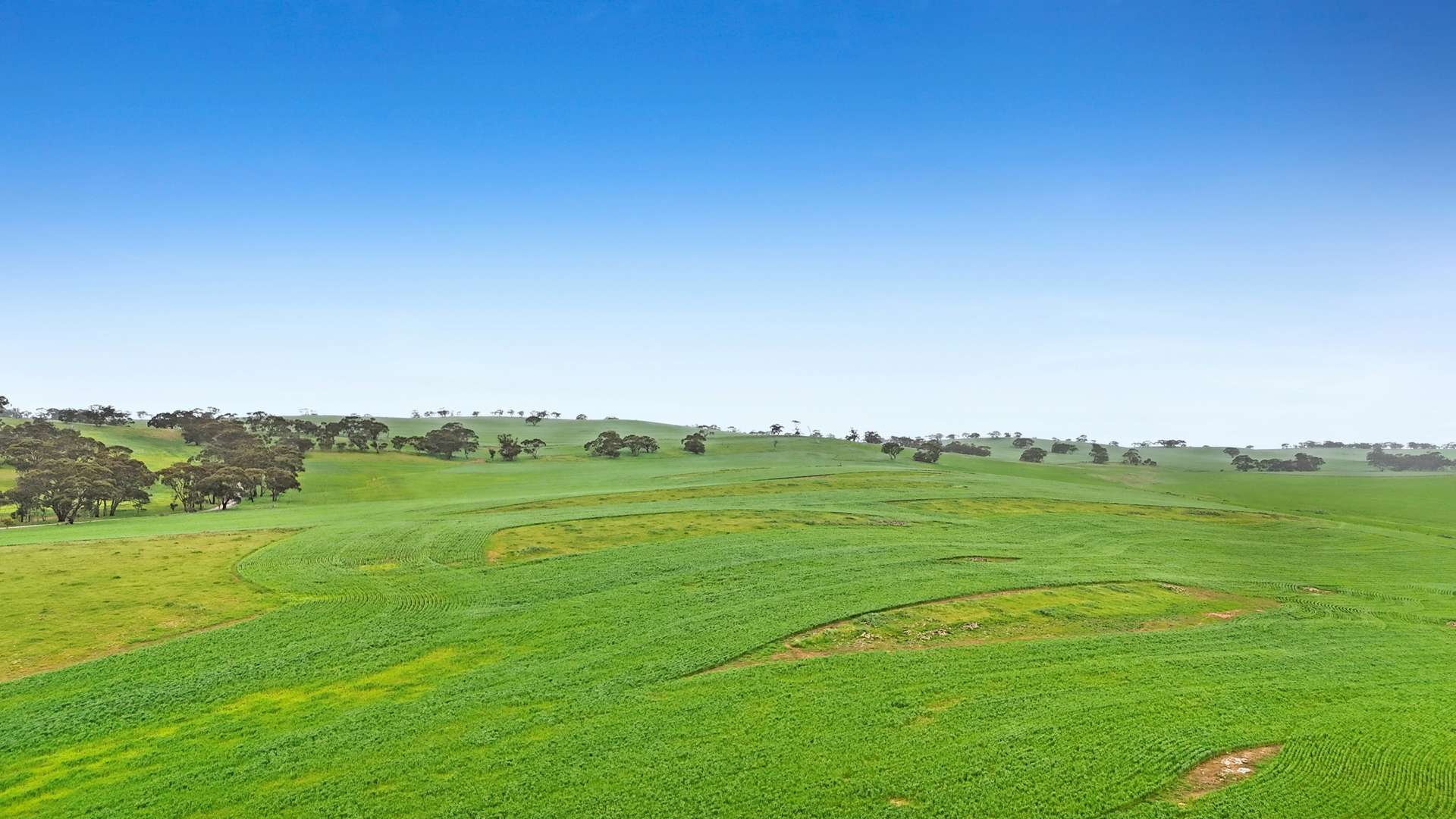 1 Garden Rd & Ngapala Rd, Ngapala For Sale by Farmbuy.com - image 11