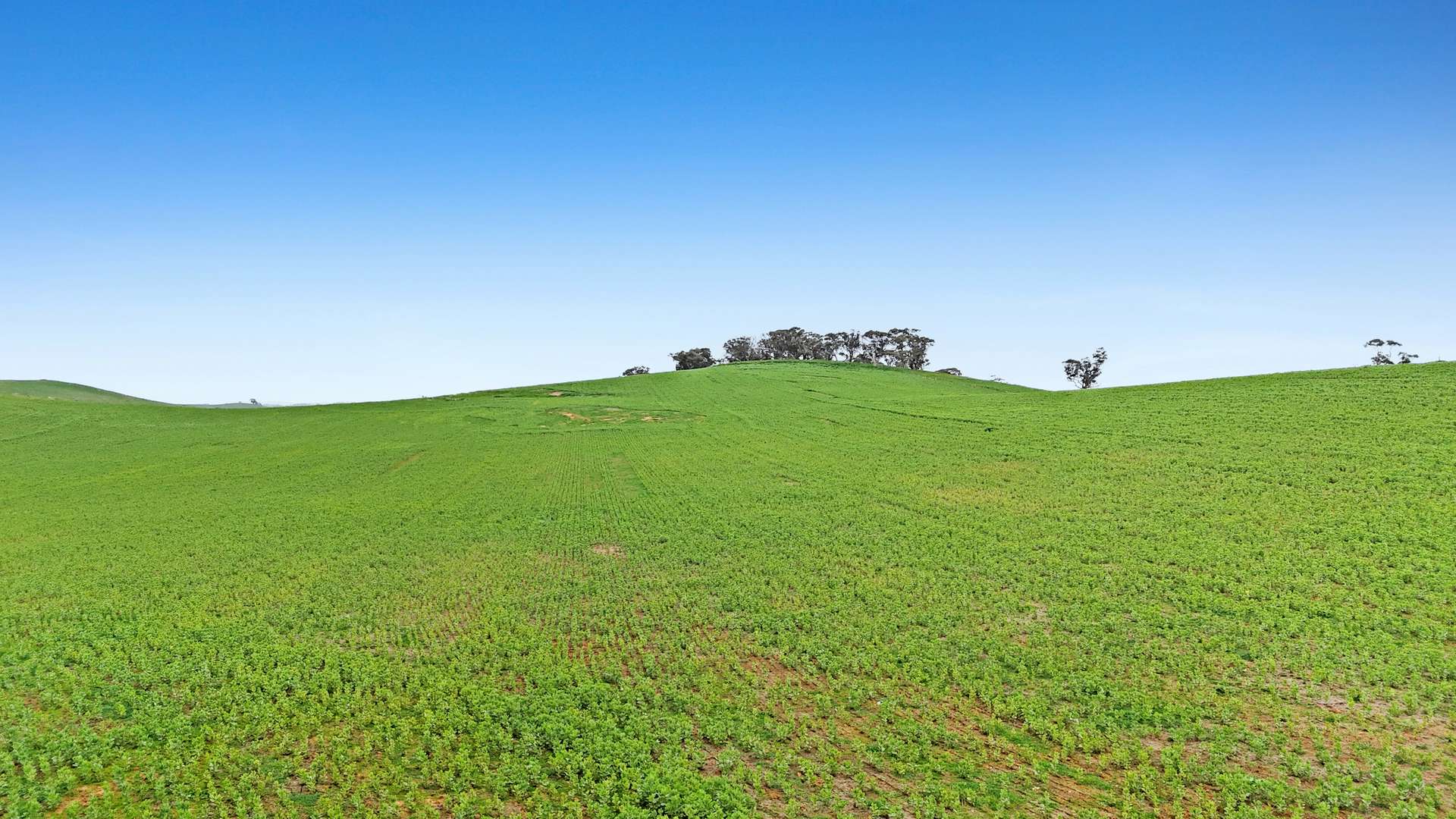 1 Garden Rd & Ngapala Rd, Ngapala For Sale by Farmbuy.com - image 6