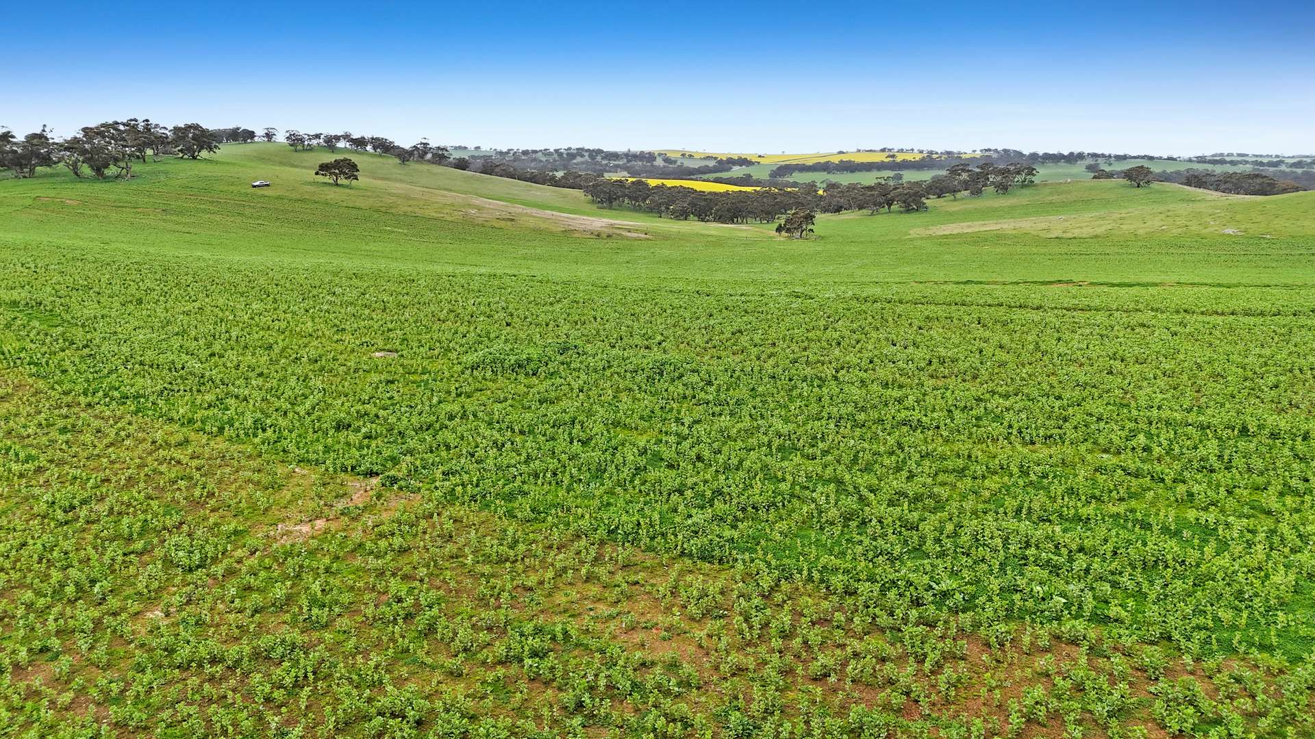 1 Garden Rd & Ngapala Rd, Ngapala For Sale by Farmbuy.com - image 8