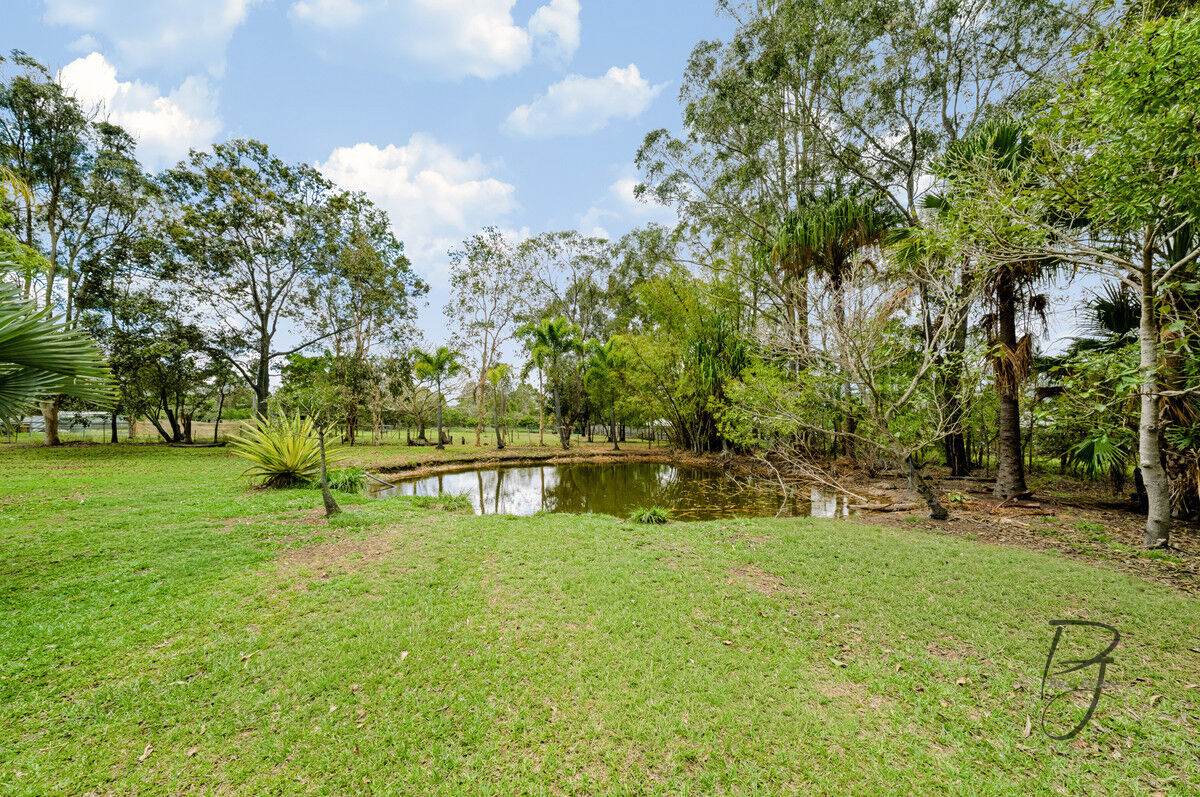 79 Thornbill Drive, Upper Caboolture For Sale by Farmbuy.com - image 12