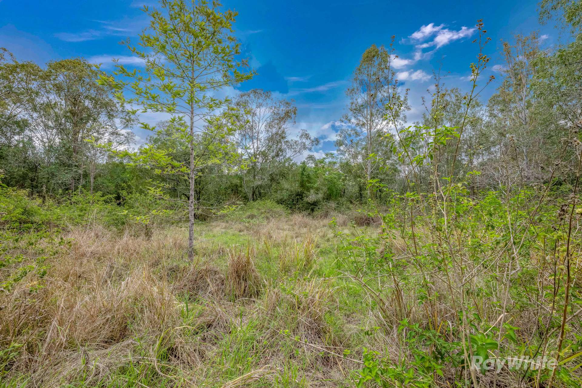 Lot 3 Gaeta Road, Gaeta For Sale by Farmbuy.com - image 5