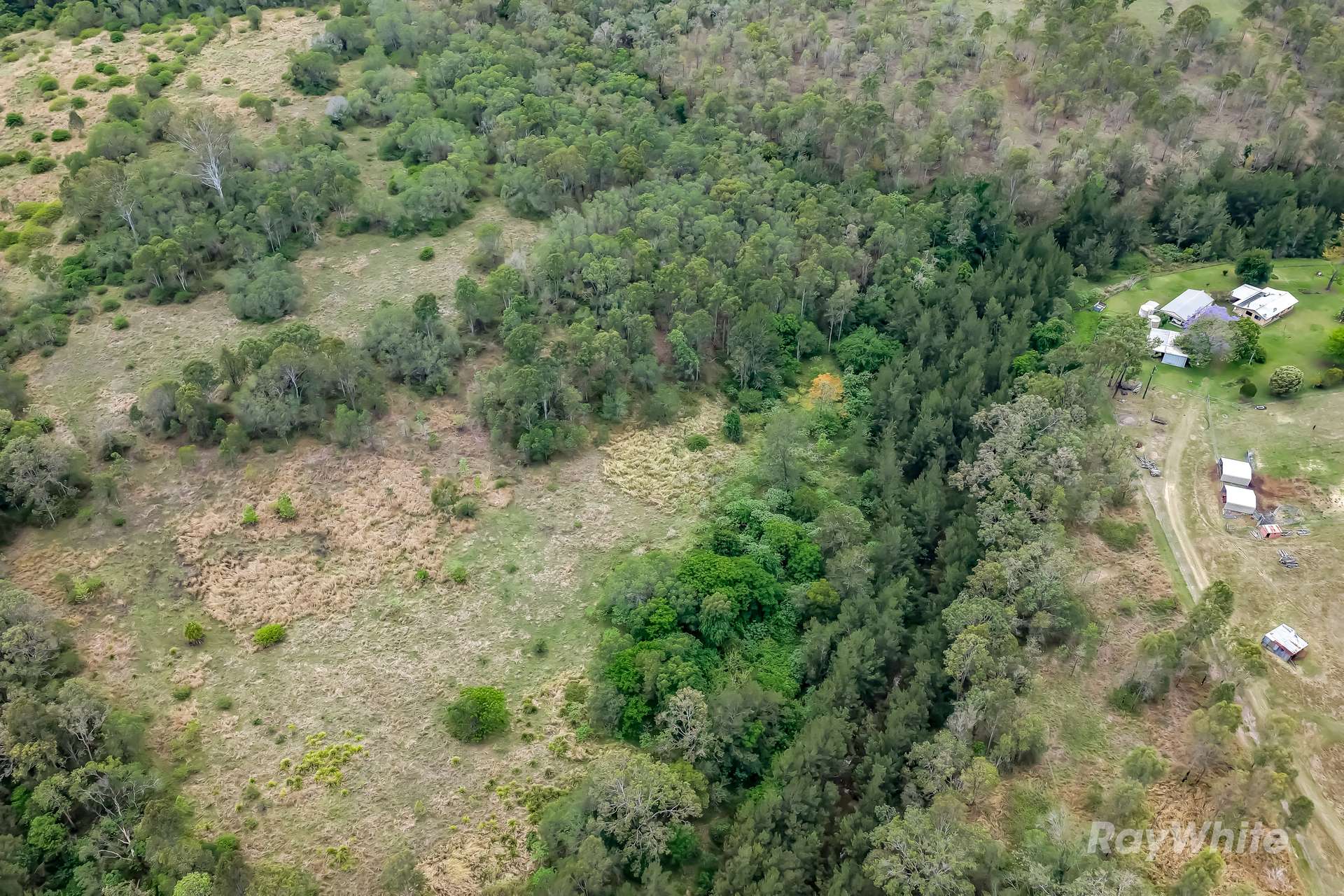 Lot 3 Gaeta Road, Gaeta For Sale by Farmbuy.com - image 8