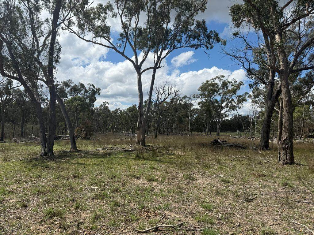 20 Philpott Lane, Greenlands For Sale by Farmbuy.com - image 28