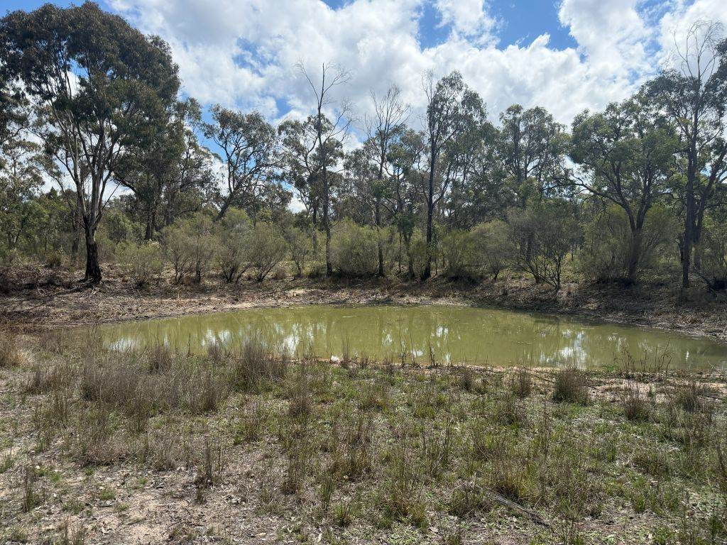 20 Philpott Lane, Greenlands For Sale by Farmbuy.com - image 27