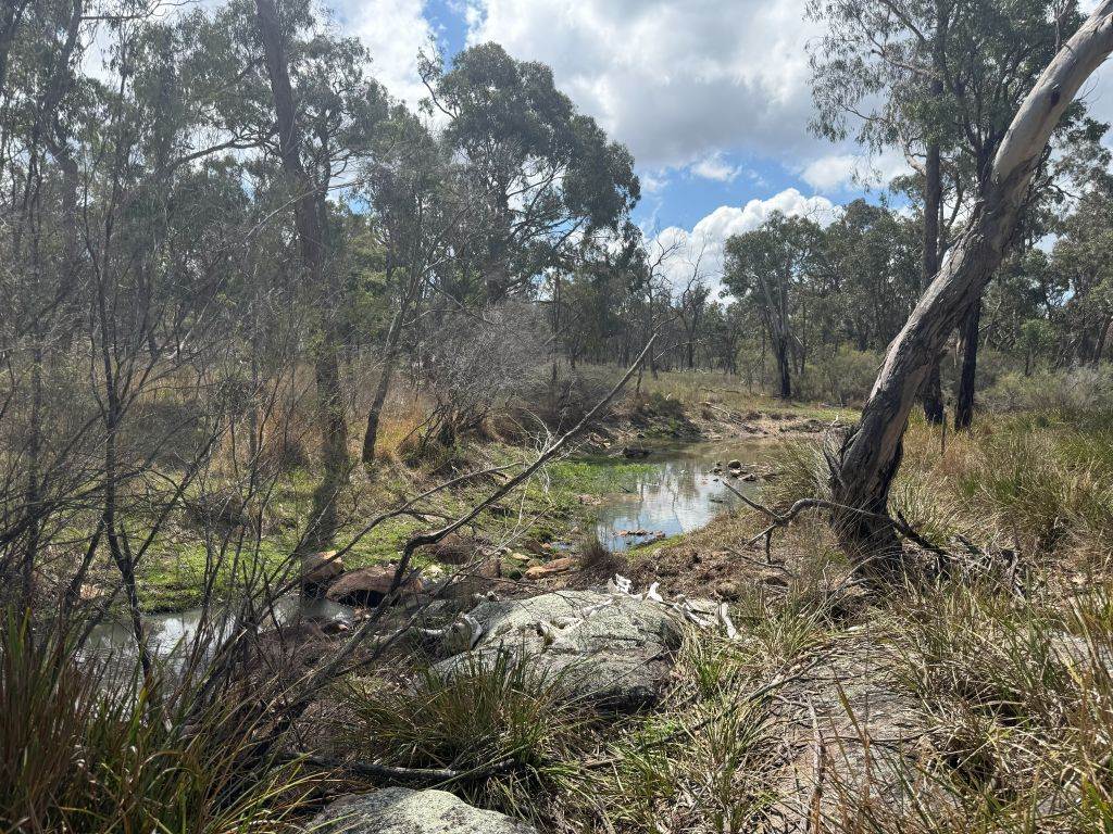 20 Philpott Lane, Greenlands For Sale by Farmbuy.com - image 30
