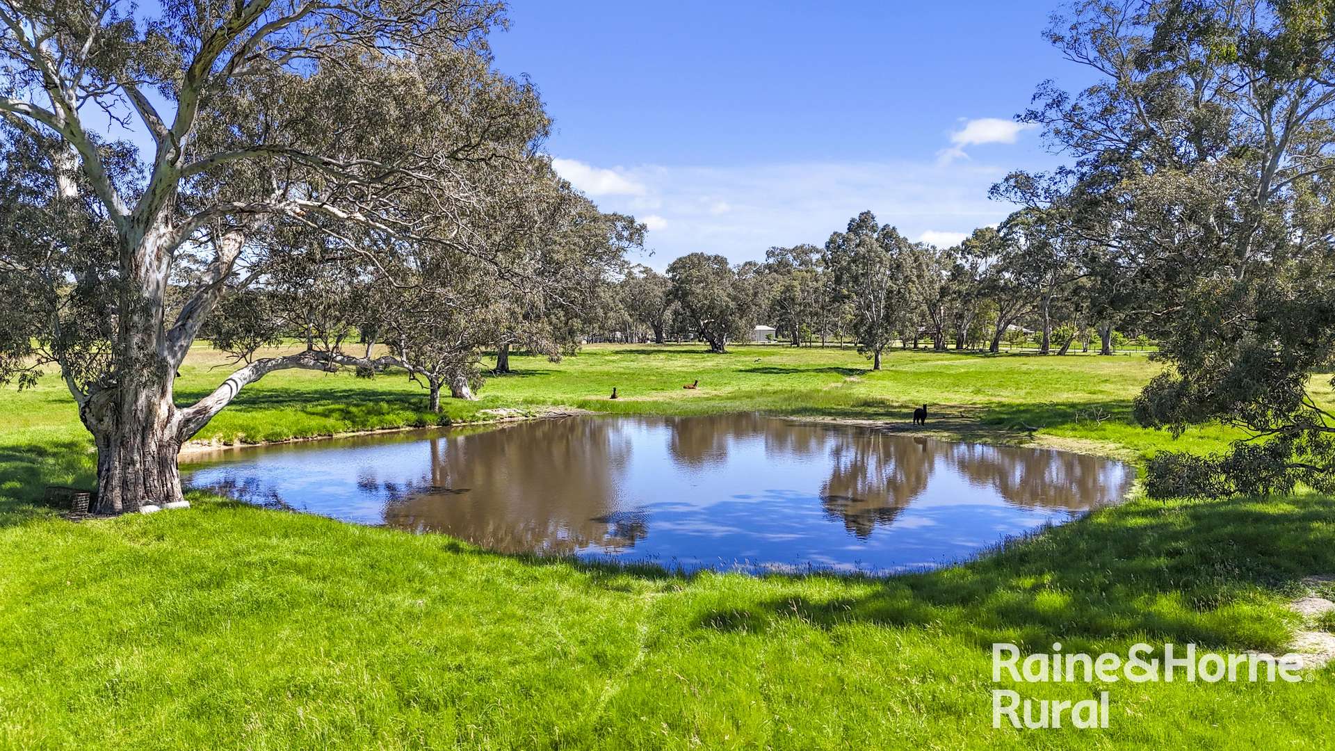 Lot 201 Wickhams Hill Road, Kuitpo For Sale by Farmbuy.com - image 1
