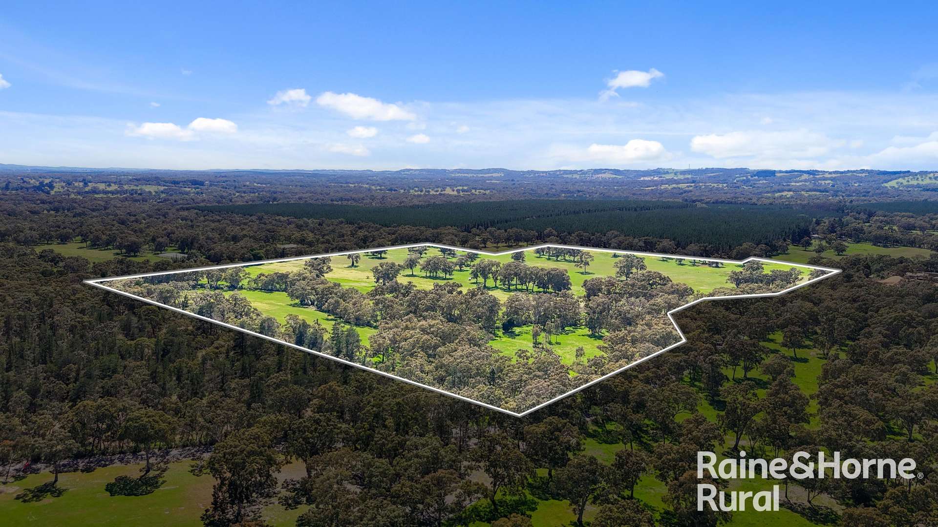 Lot 201 Wickhams Hill Road, Kuitpo For Sale by Farmbuy.com - image 19