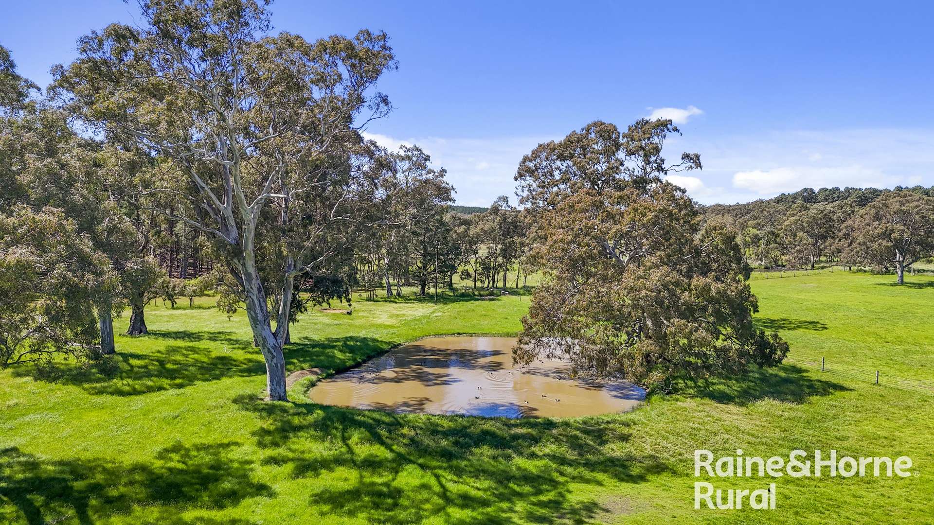Lot 201 Wickhams Hill Road, Kuitpo For Sale by Farmbuy.com - image 7
