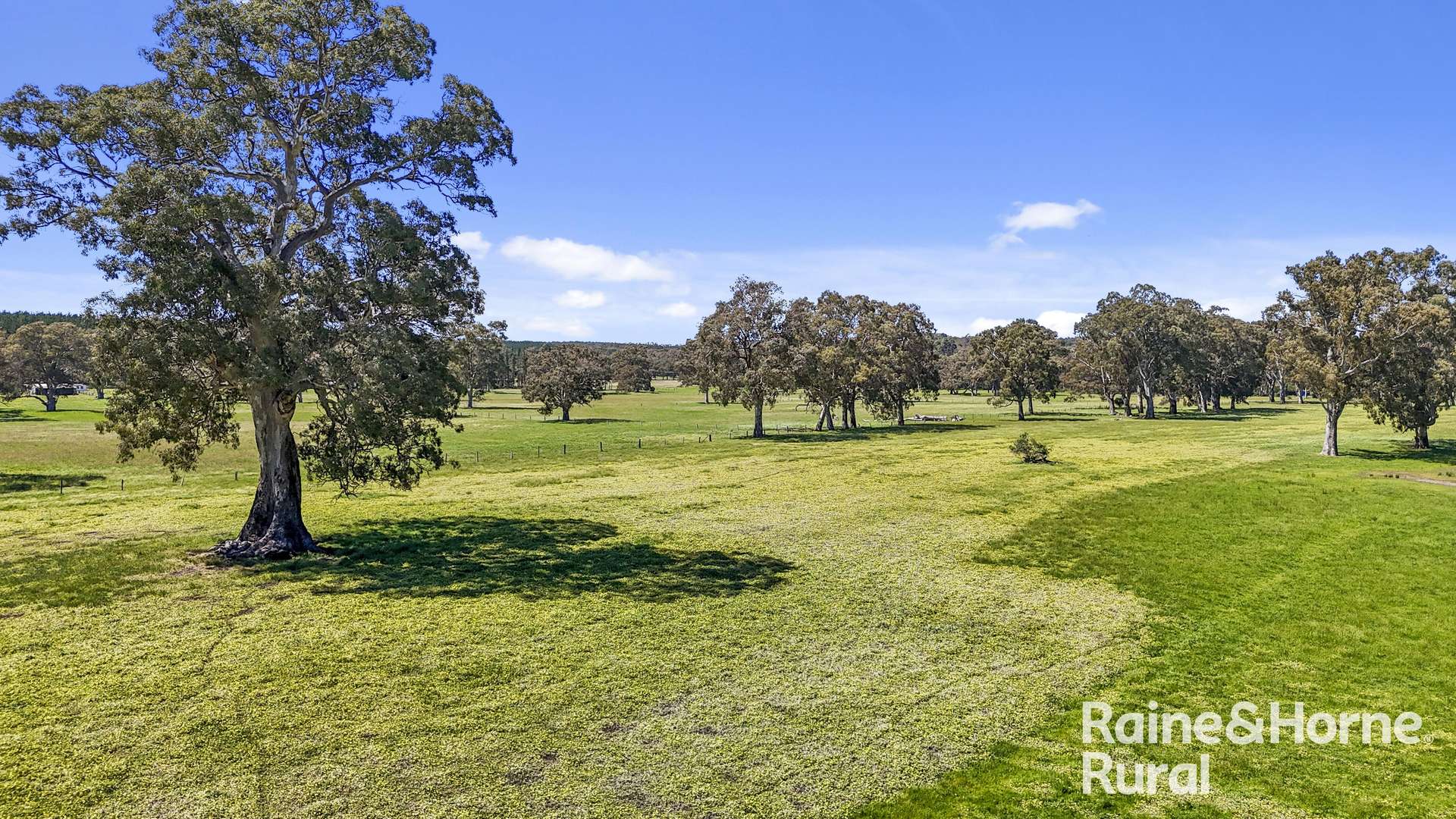Lot 201 Wickhams Hill Road, Kuitpo For Sale by Farmbuy.com - image 31