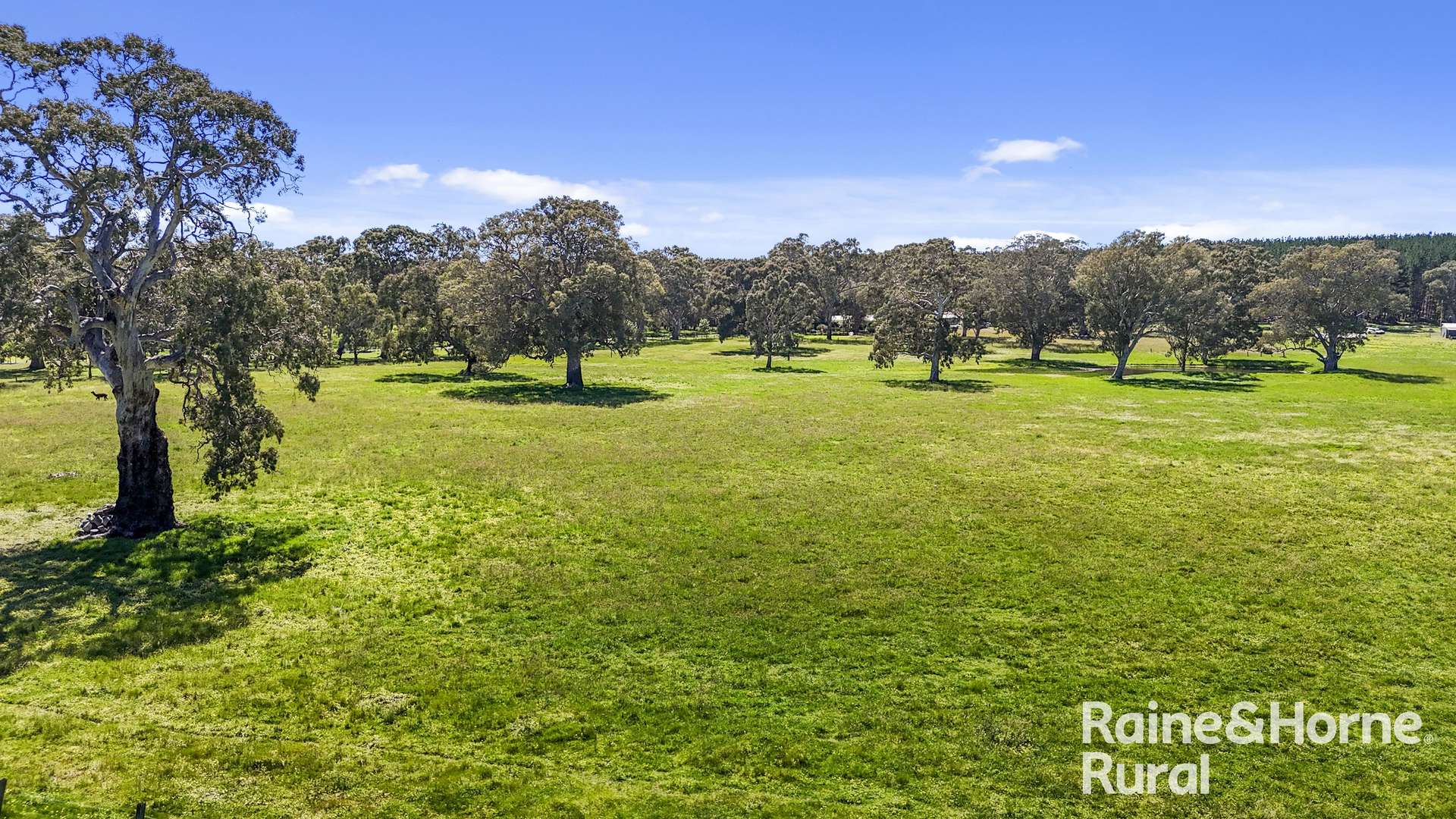 Lot 201 Wickhams Hill Road, Kuitpo For Sale by Farmbuy.com - image 33