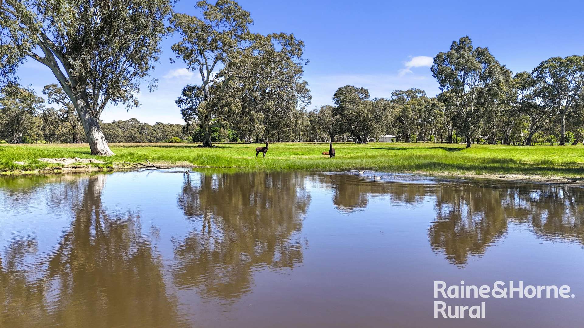 Lot 201 Wickhams Hill Road, Kuitpo For Sale by Farmbuy.com - image 22