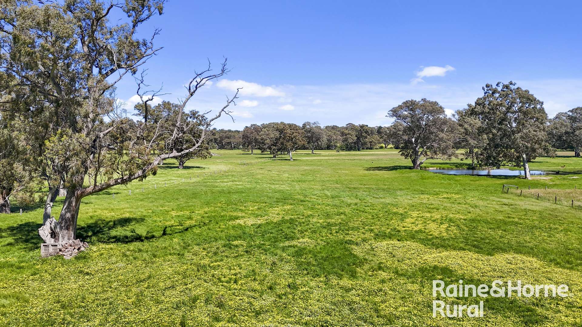 Lot 201 Wickhams Hill Road, Kuitpo For Sale by Farmbuy.com - image 10