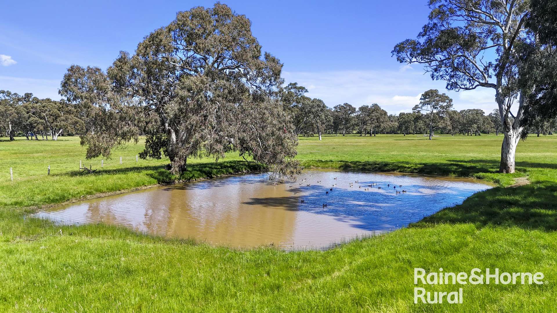 Lot 201 Wickhams Hill Road, Kuitpo For Sale by Farmbuy.com - image 9