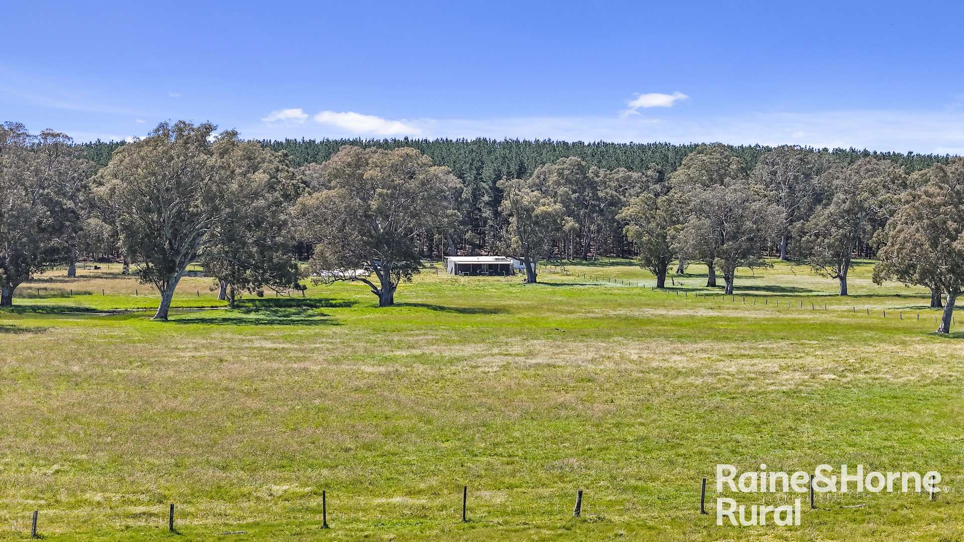 Lot 201 Wickhams Hill Road, Kuitpo For Sale by Farmbuy.com - image 29