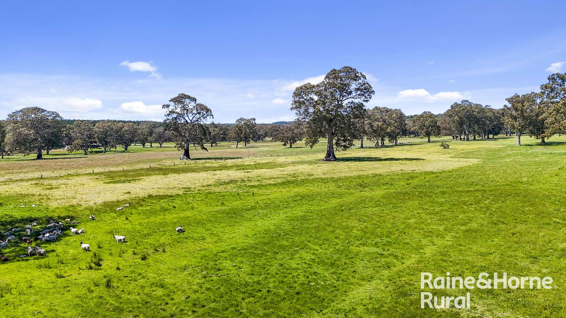 Lot 201 Wickhams Hill Road, Kuitpo For Sale by Farmbuy.com - image 28