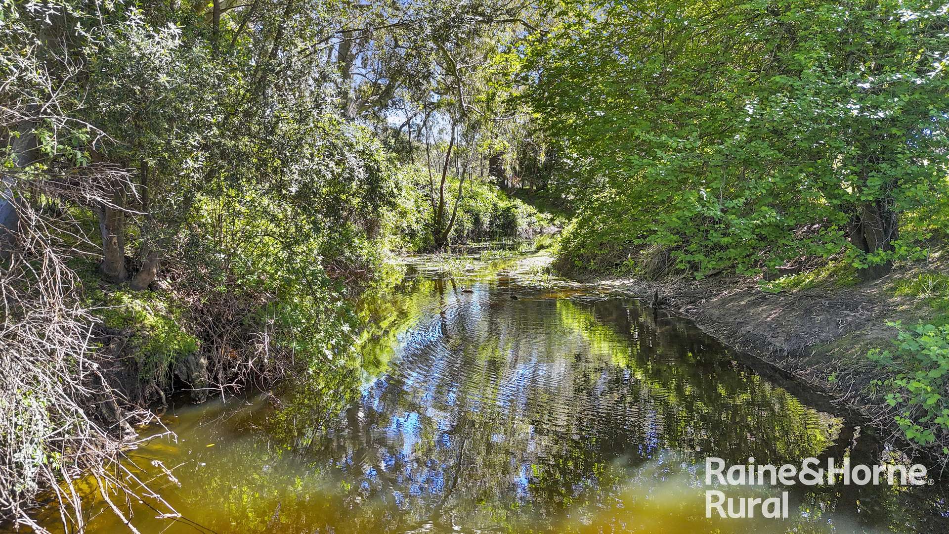 Lot 201 Wickhams Hill Road, Kuitpo For Sale by Farmbuy.com - image 5