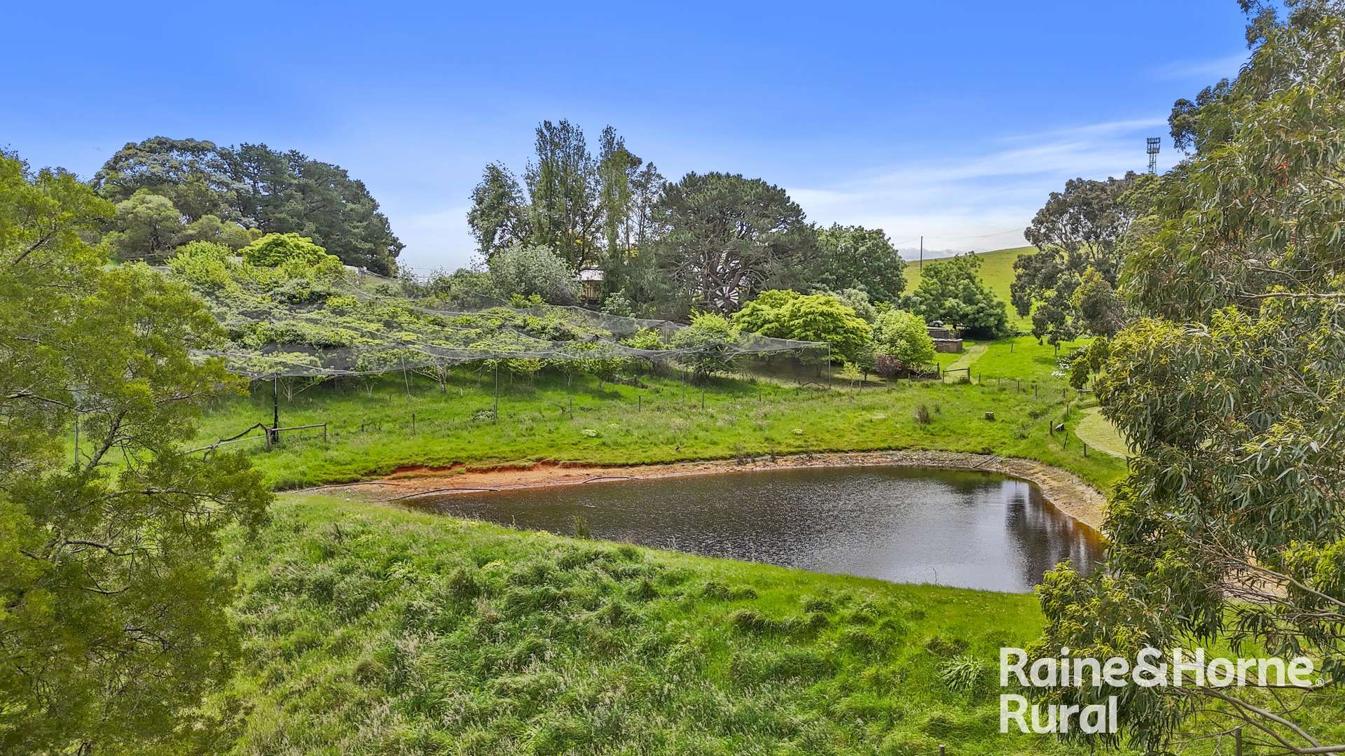 104 Wattle Road, Meadows Auction by Farmbuy.com - image 27