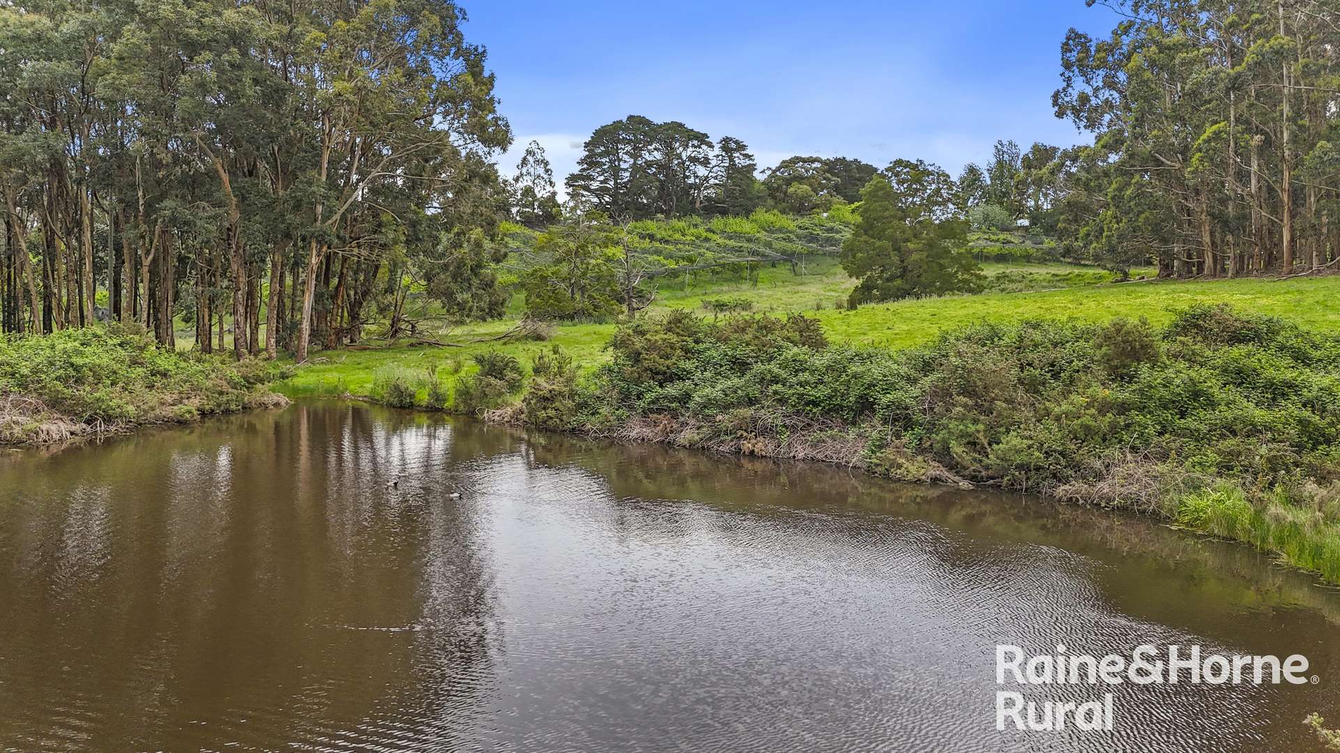 104 Wattle Road, Meadows Auction by Farmbuy.com - image 20