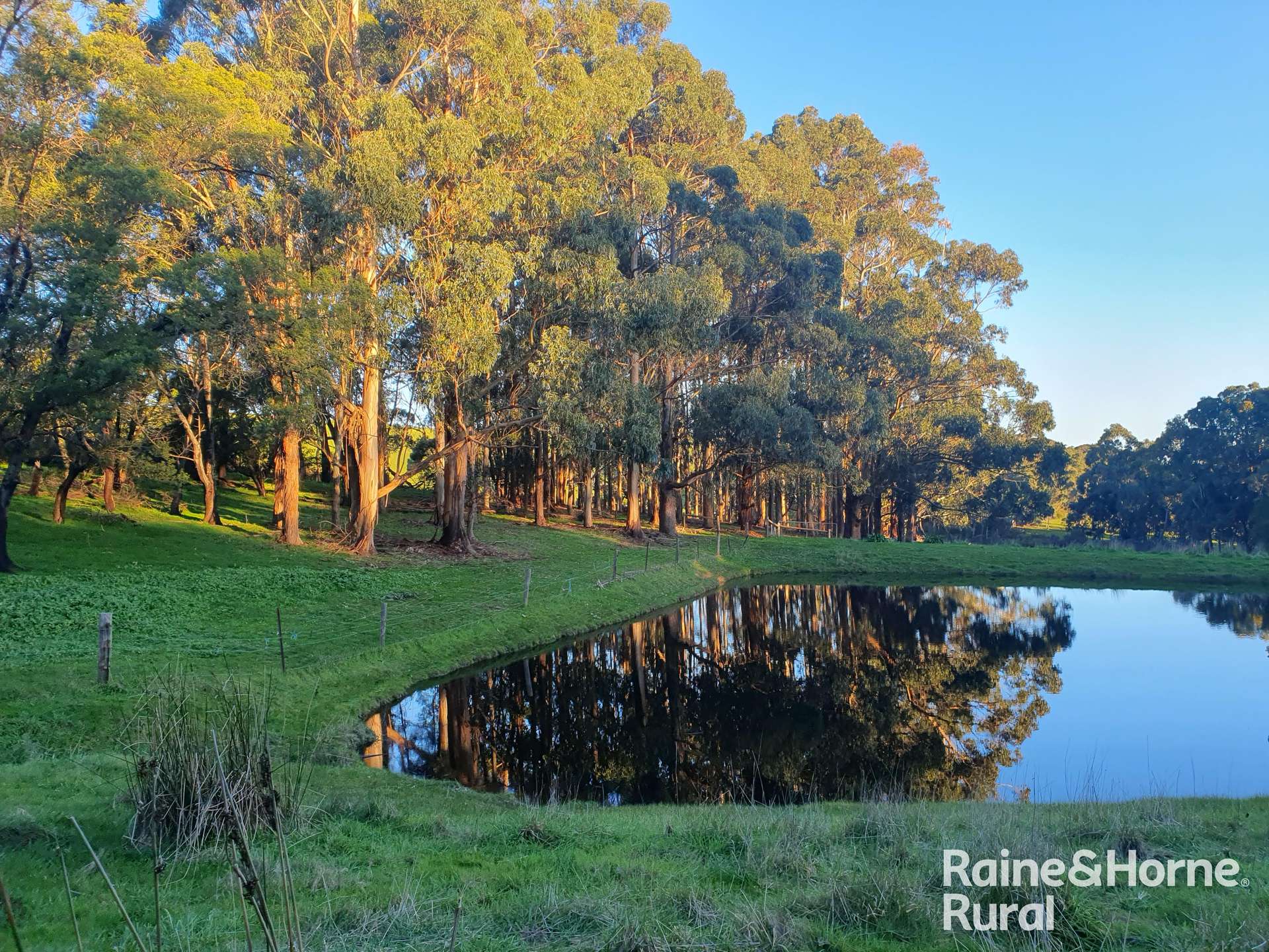 104 Wattle Road, Meadows Auction by Farmbuy.com - image 32