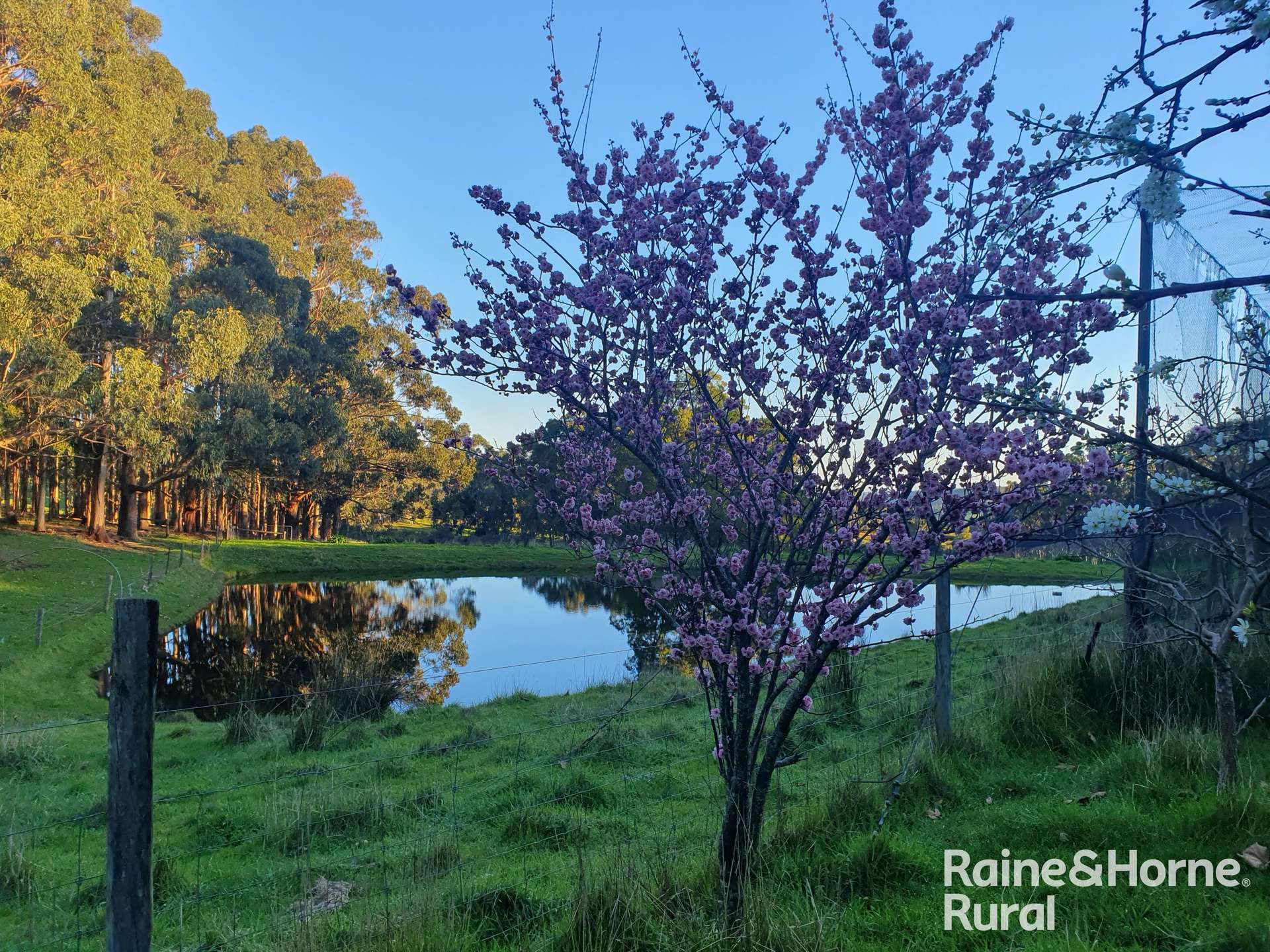 104 Wattle Road, Meadows Auction by Farmbuy.com - image 31
