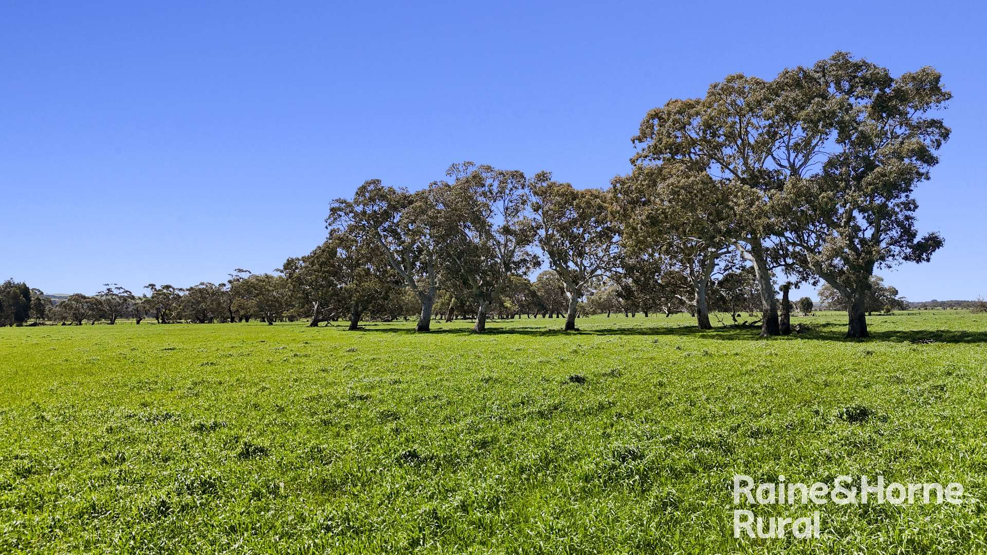 160 Rowley Road, Myponga For Sale by Farmbuy.com - image 8