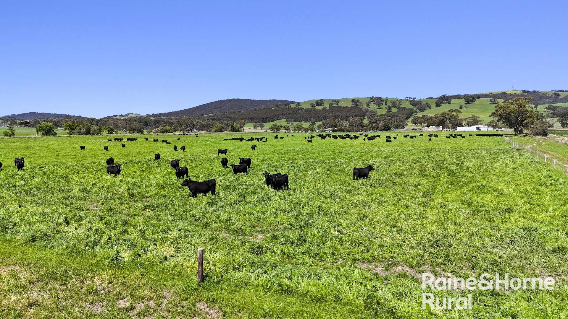160 Rowley Road, Myponga For Sale by Farmbuy.com - image 26