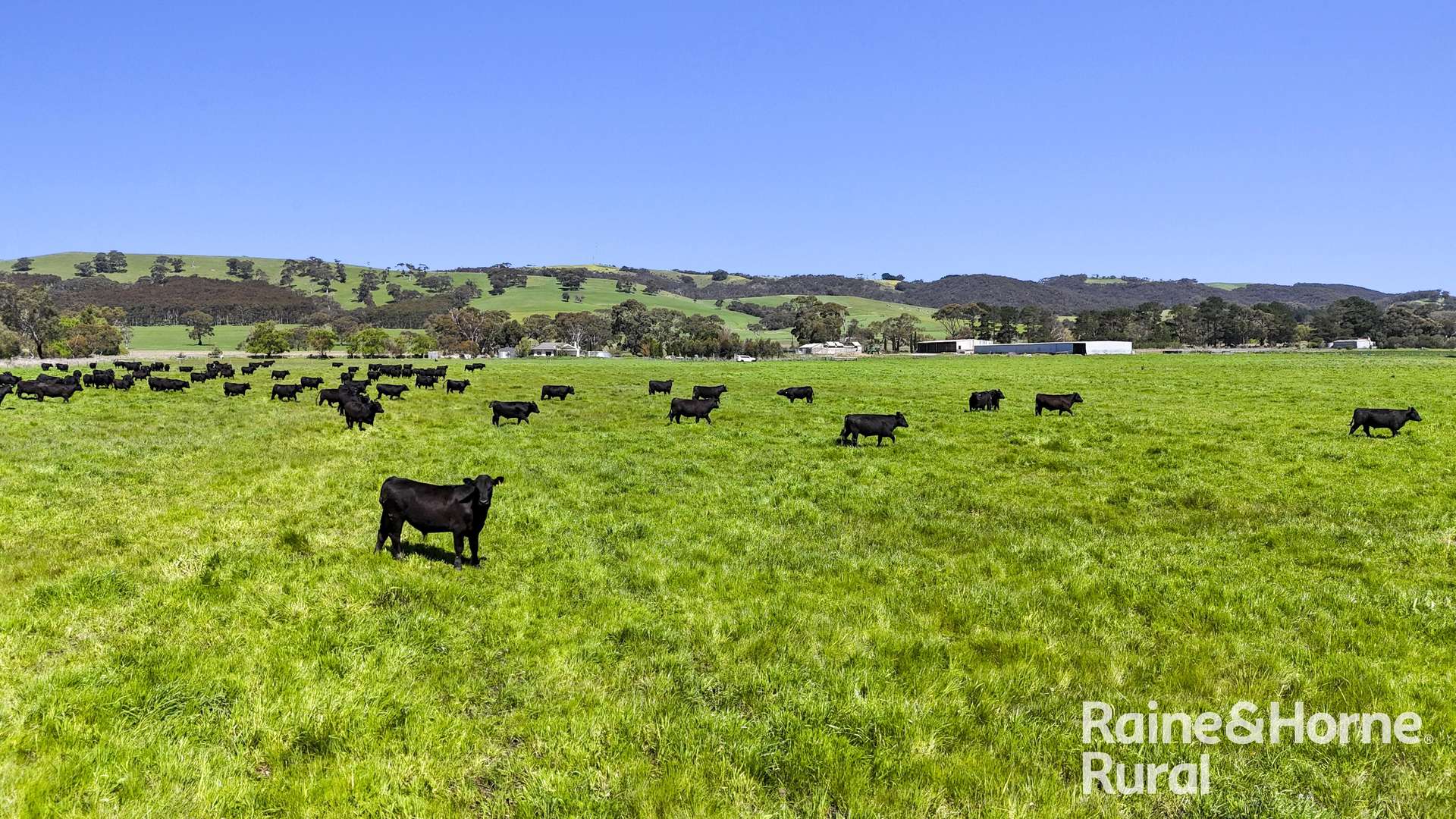 160 Rowley Road, Myponga For Sale by Farmbuy.com - image 16