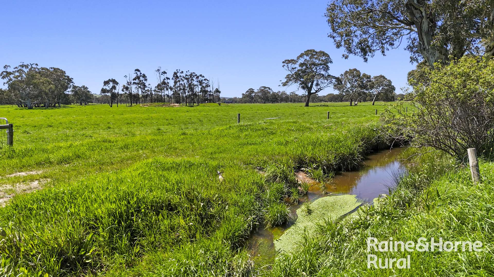 160 Rowley Road, Myponga For Sale by Farmbuy.com - image 12