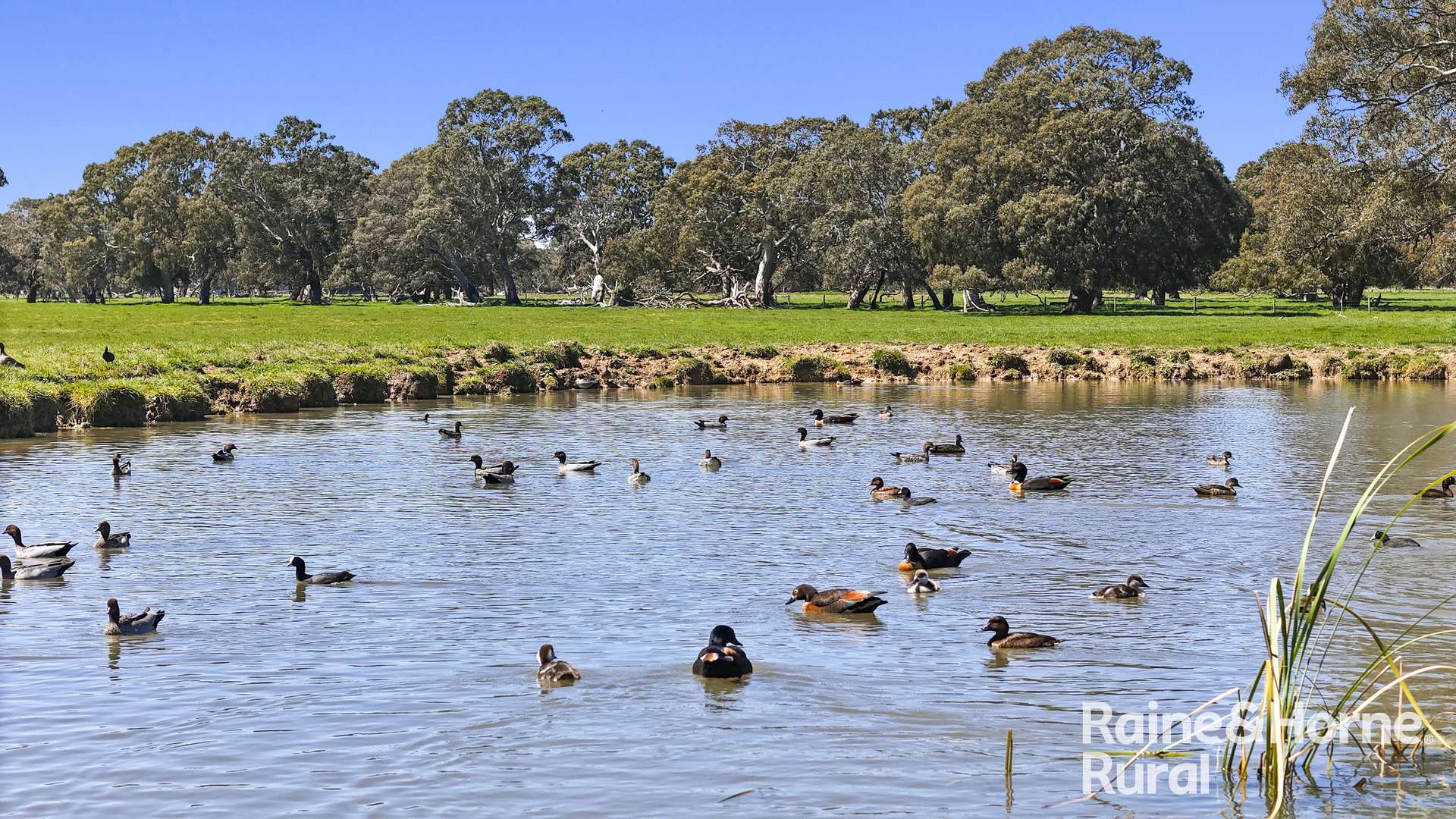 160 Rowley Road, Myponga For Sale by Farmbuy.com - image 10